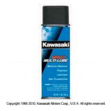 Kawasaki Teryx™ Accessories Catalog(2011). Chemicals & Lubricants. Lubricants