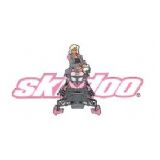 Ski-Doo Riding Gear, Parts and Accessories(2012). Decals & Graphics. Stickers