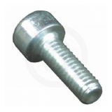 Western Power Sports Snowmobile(2012). Fasteners. Bolts